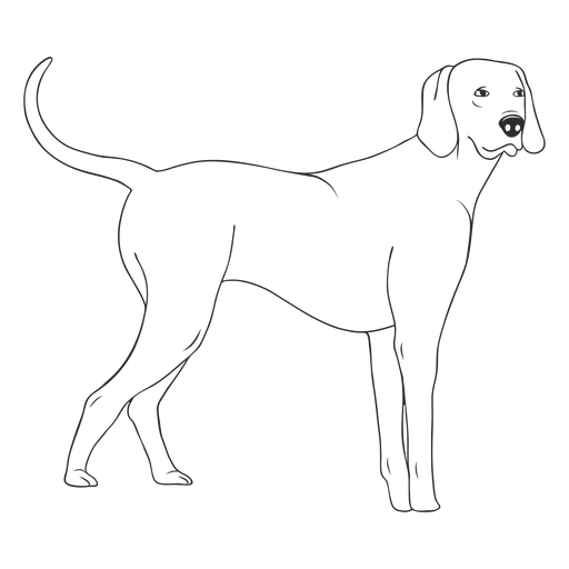 Trazo de perro weimaraner de pie Diseño PNG