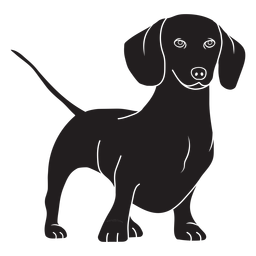 Stansing dachshund dog black PNG Design