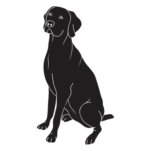 Cachorro weimaraner preto Desenho PNG