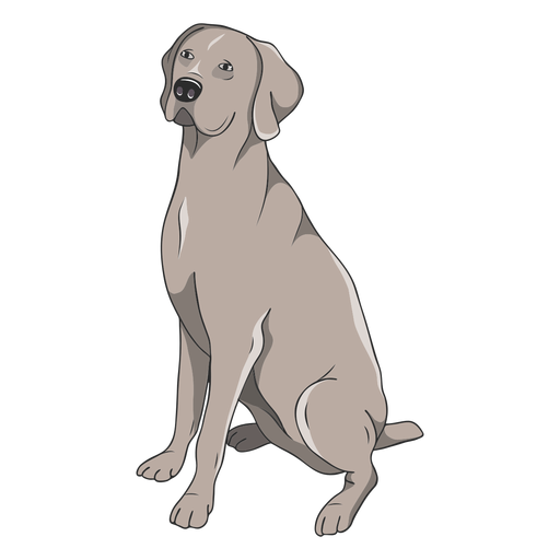 Weimaraner dog illustration