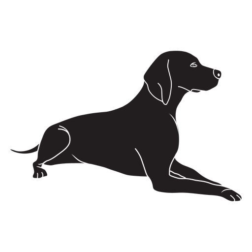 Perro Weimaraner acostado negro Diseño PNG