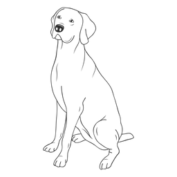 Weimaraner Dog Stroke PNG & SVG Design For T-Shirts