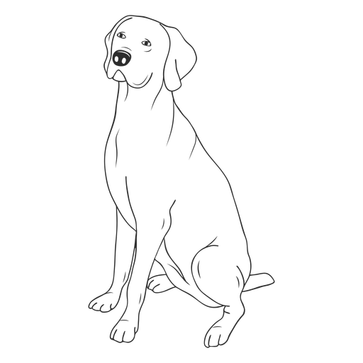Weimaraner dog stroke PNG Design