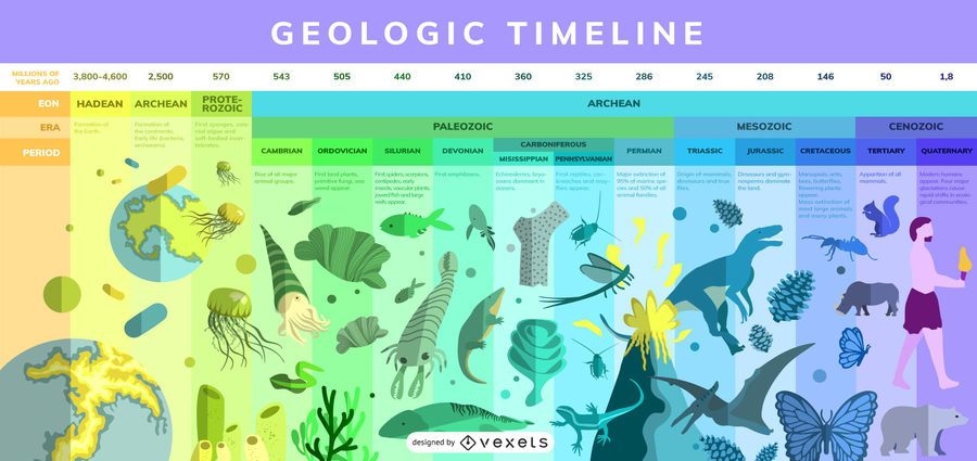 Geologisches Timeline Infografik Design Vektor Download