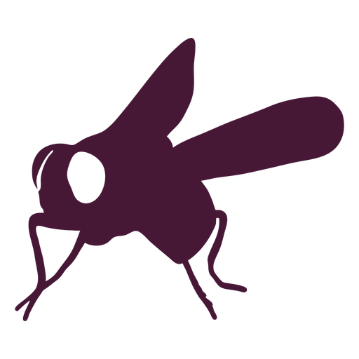 Fly washes silhouette PNG Design