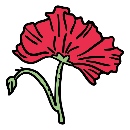 Closed poppy flower hand drawn PNG Design