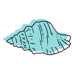 Color seashell hand drawn PNG Design