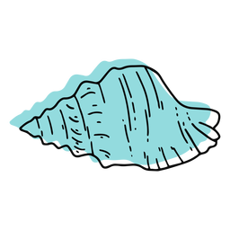 Dibujado a mano color concha Diseño PNG
