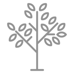 Traço de ícone de árvore de poucas folhas Transparent PNG