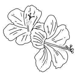 Pincelada de flor havaiana Desenho PNG