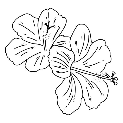 Hawaiian flower stroke PNG Design
