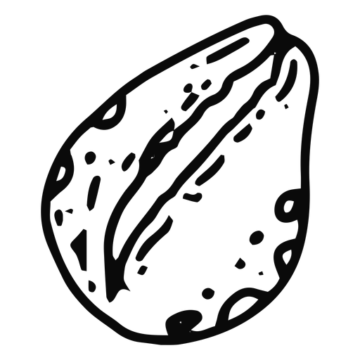 Curso de molusco Desenho PNG