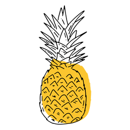 Plano de piña Diseño PNG