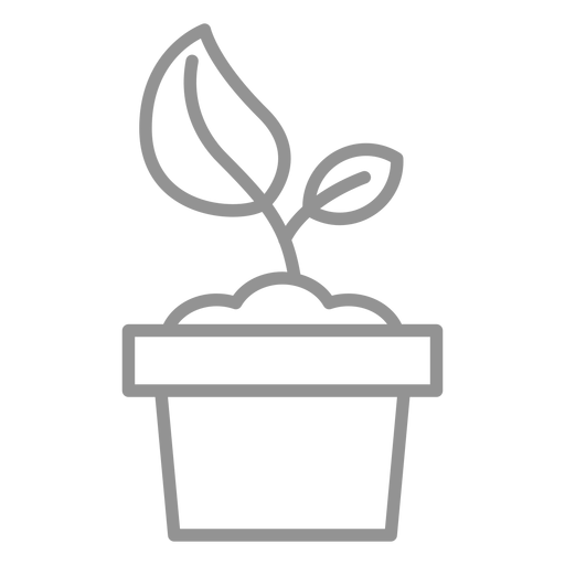 Planta em vaso Desenho PNG