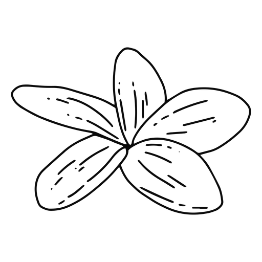 Trazo de flor de plumeria Diseño PNG