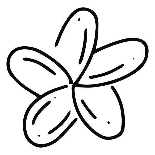 Plumeria Blumenstrichblume PNG-Design