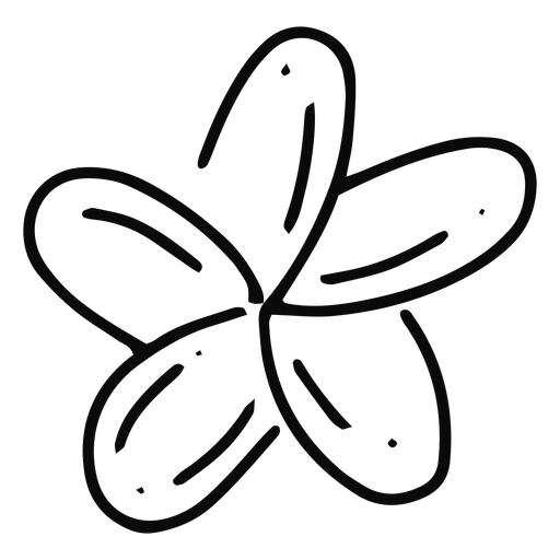 Plumeria flower stroke flower PNG Design