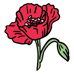 Dibujado a mano flor de amapola floreciente Diseño PNG