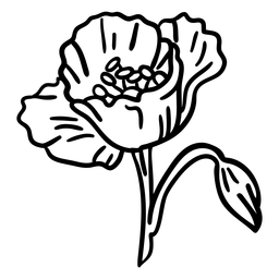 Blühender Mohnblumenstrich PNG-Design