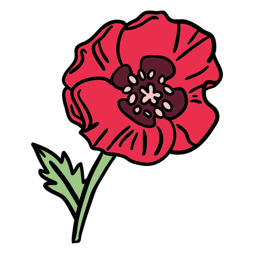 Flor de papoula desenhada à mão Desenho PNG