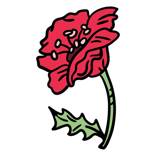 Flor de amapola de lado dibujado a mano Diseño PNG