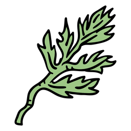 Poppy flower stem hand drawn PNG Design