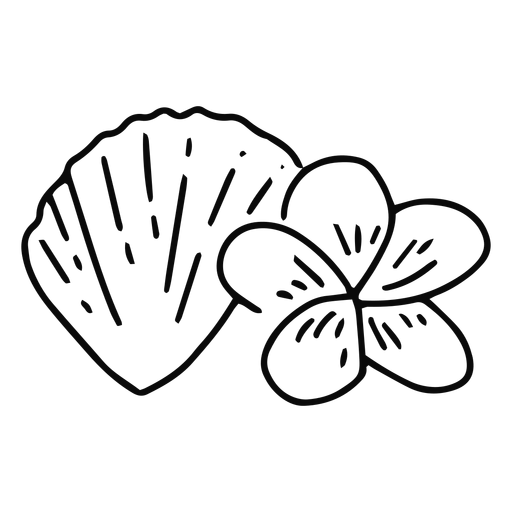 Seashell and plumeria flower stroke PNG Design