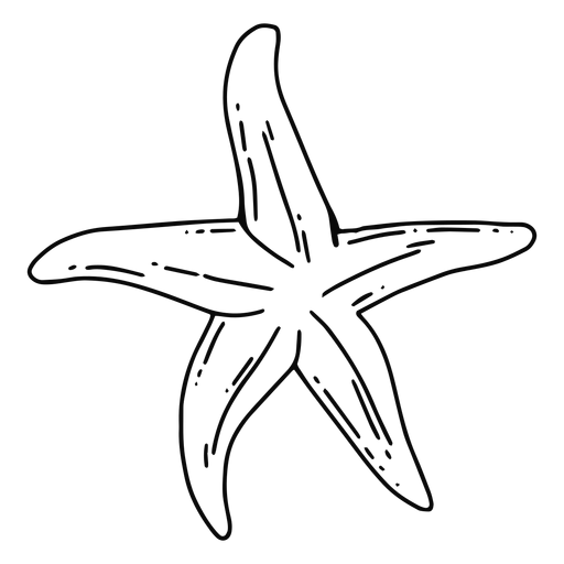 Golpe de estrella de mar Diseño PNG