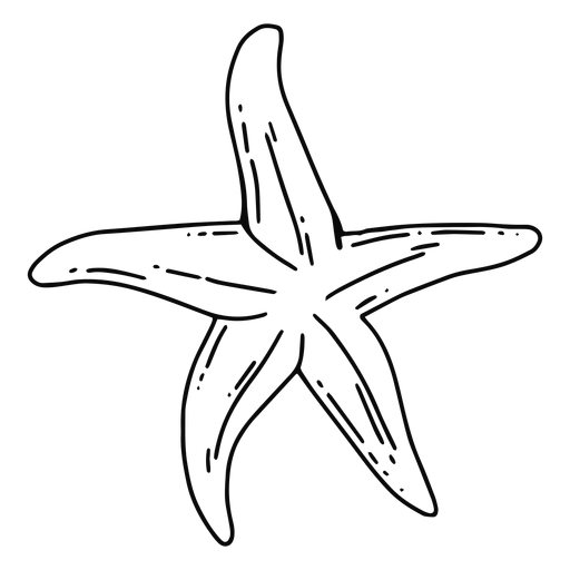 Starfish stroke starfish - Transparent PNG & SVG vector file