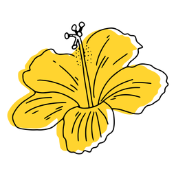 Flor amarela havaiana desenhada à mão Desenho PNG