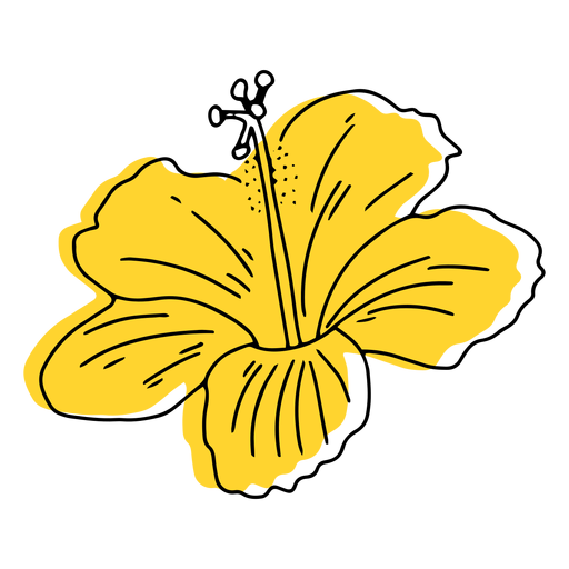 Yellow hawaiian flower hand drawn PNG Design