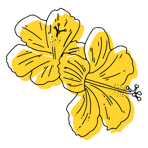 Gelbe hawaiianische Blumen handgezeichnet PNG-Design