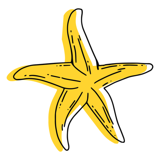 Yellow starfish stroke PNG Design