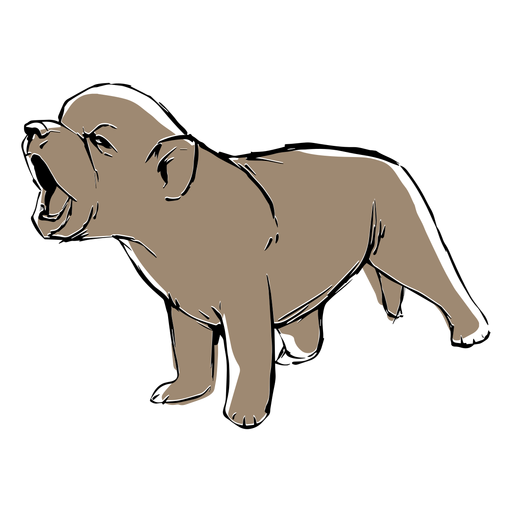 Baby Wolf Sketch Transparent Png Svg Vector File