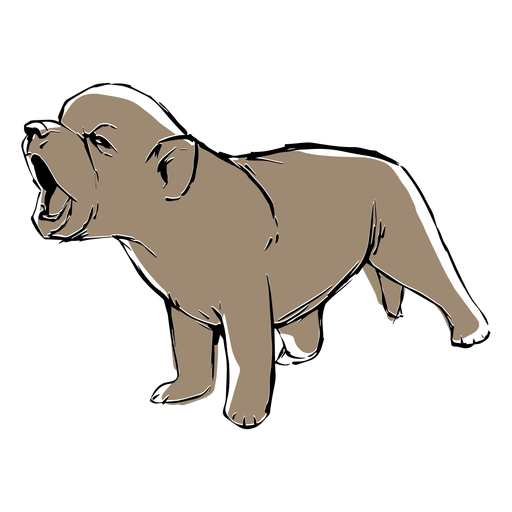 Desenho de lobo bebê Desenho PNG