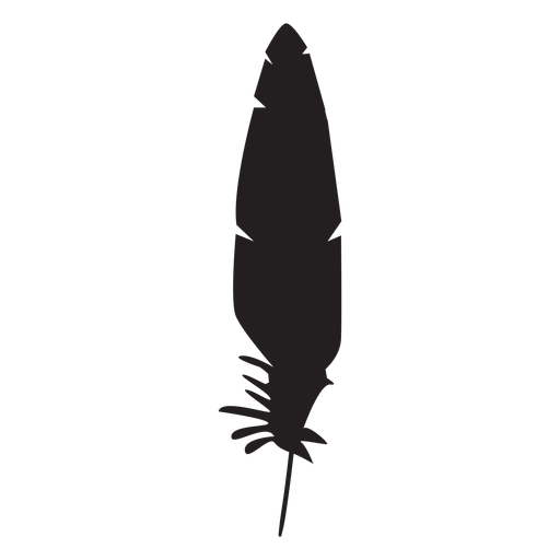 Silueta de pluma de ave Diseño PNG