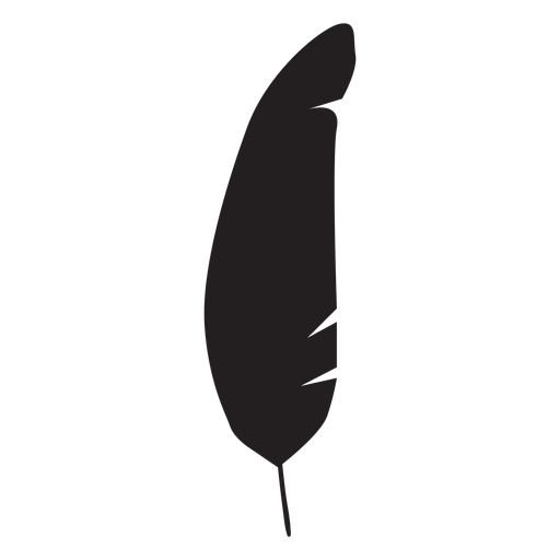 Boho tribal feather silhouette