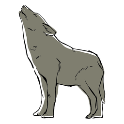 Desenho de lobo uivante Desenho PNG