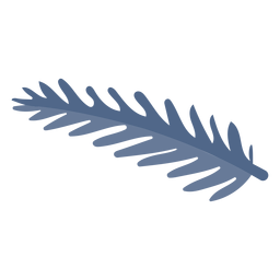 Elemento de ramo de pinheiro Desenho PNG