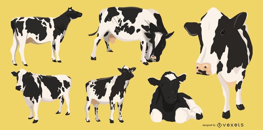 Colección de ilustraciones de vaca Colección de ilustraciones de vaca