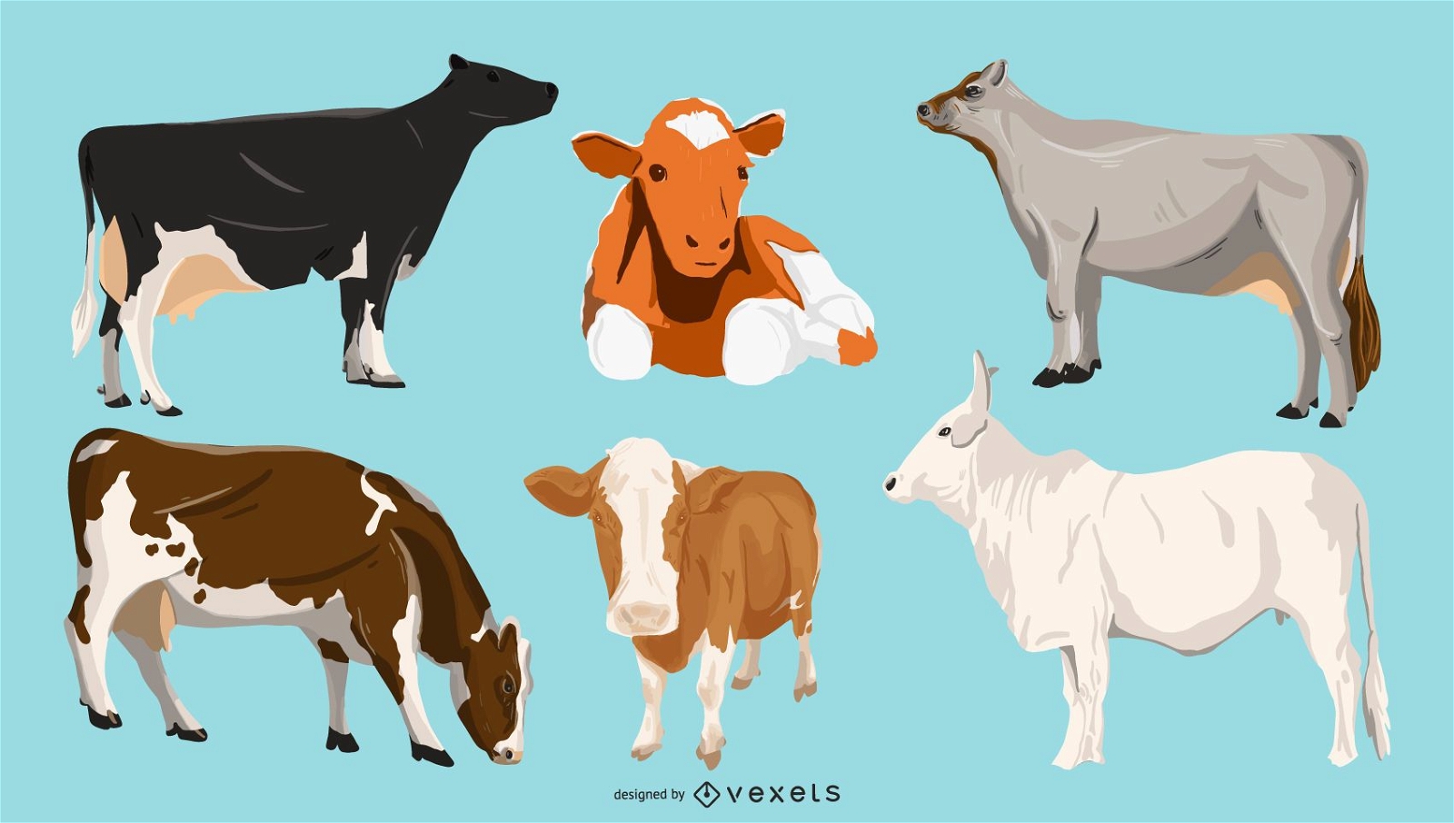 Paquete de ilustraci?n de vacas
