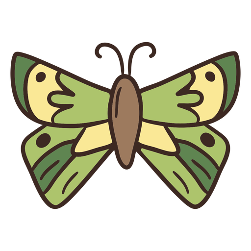 Animal bonito borboleta Desenho PNG