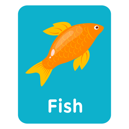 Fish vocabulary flashcard PNG Design