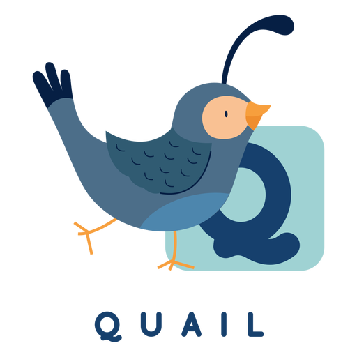 Letter q quail alphabet PNG Design