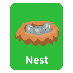 Tarjeta de vocabulario de Nest Diseño PNG