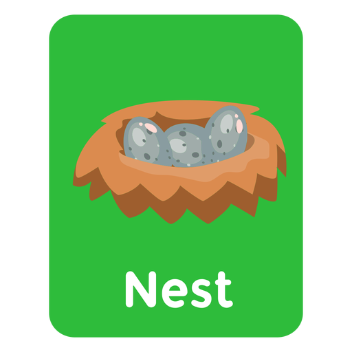 Cartão flash de vocabulário Nest Desenho PNG