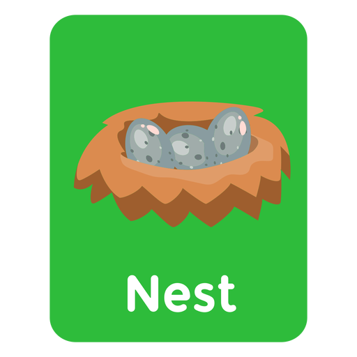 Cart?o flash de vocabul?rio Nest Desenho PNG