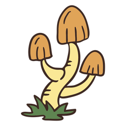 Ilustração de fungo alto Desenho PNG