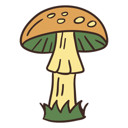 Hohe Pilzillustration PNG-Design