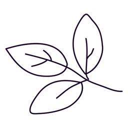Three leaves doodle PNG Design